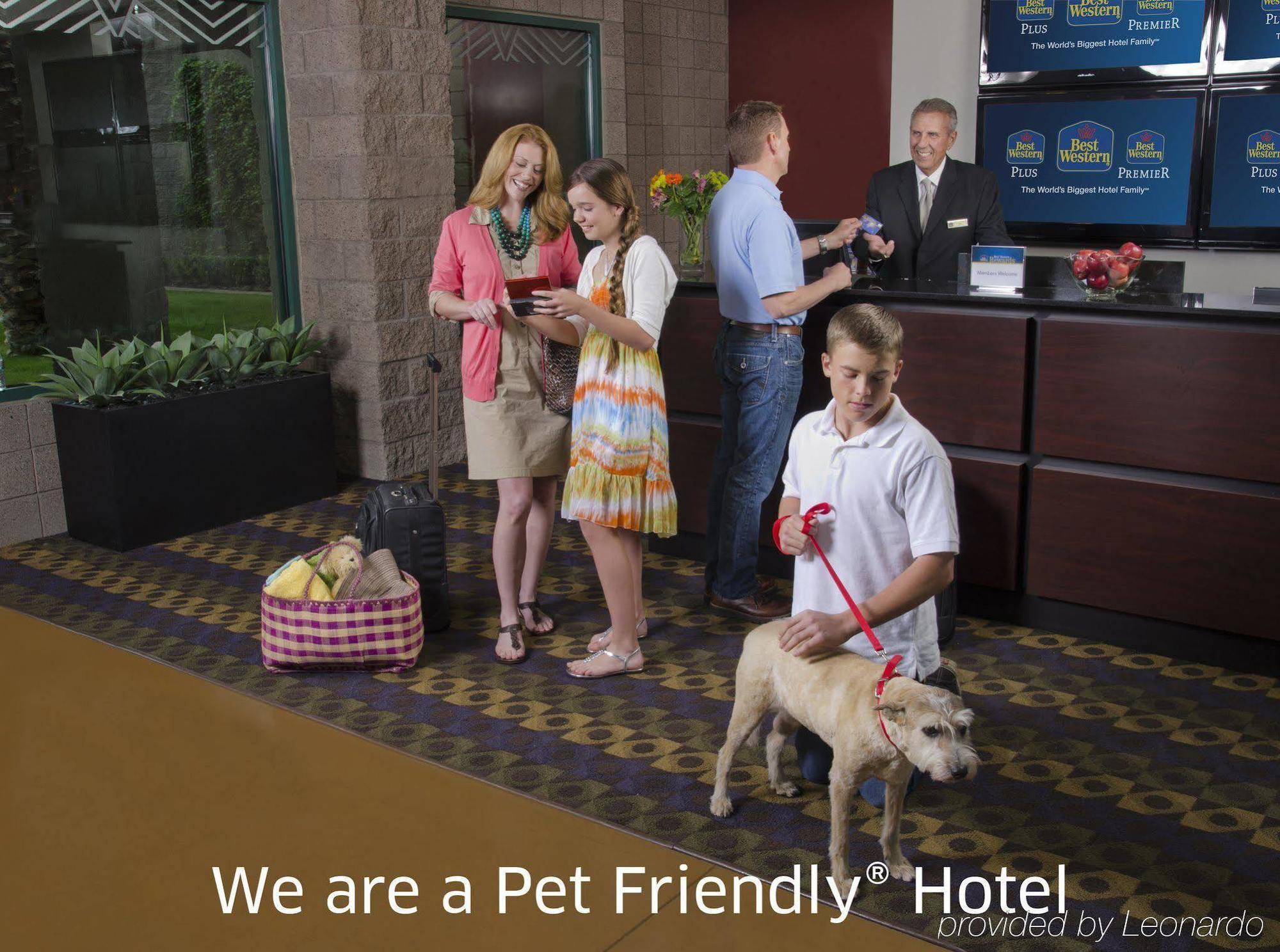 Best Western Plus Waltham Boston Exterior photo